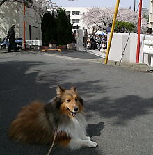 後ろは宴会だわさ