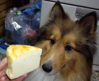 チーズケーキとヴィエリ