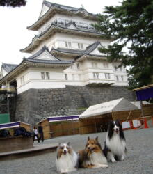 小田原城