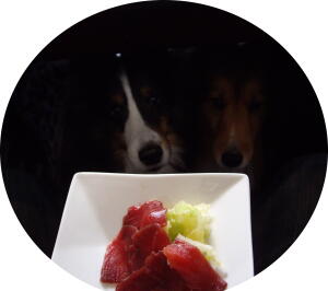 鹿肉のカルパッチョ