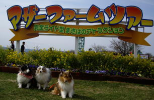 マザーファームツアー