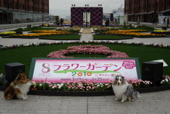 赤レンガ前の庭